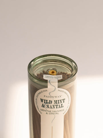 Paddywax Haze Incense - Wild Mint + Santal