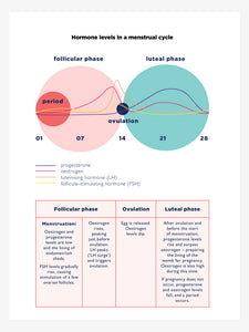 The Female Factor: Making women's health count