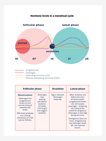 The Female Factor: Making women's health count