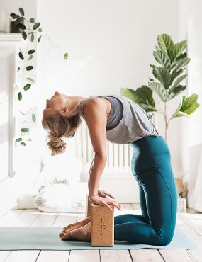 Yogamatters Cork Brick Pair